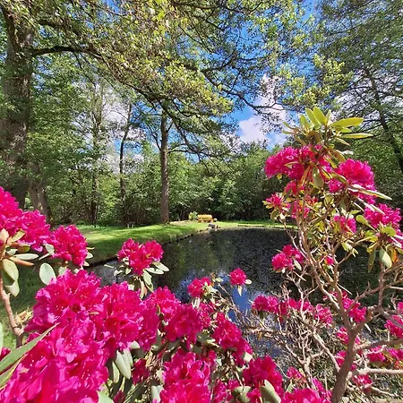 Kursprung Bad Brambach