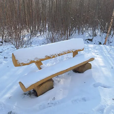 Kursprung 3* Бад-Брамбах