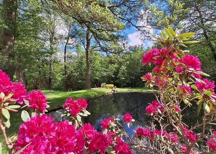 Kursprung باد برامباخ