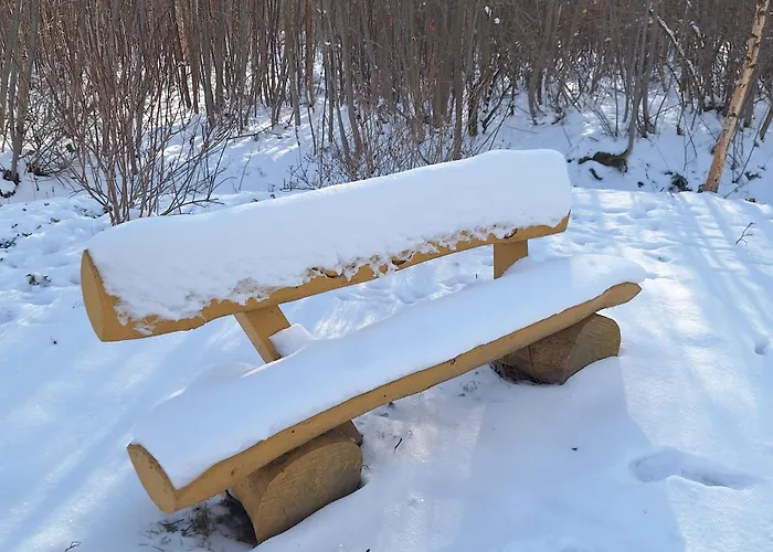 Kursprung 3* باد برامباخ